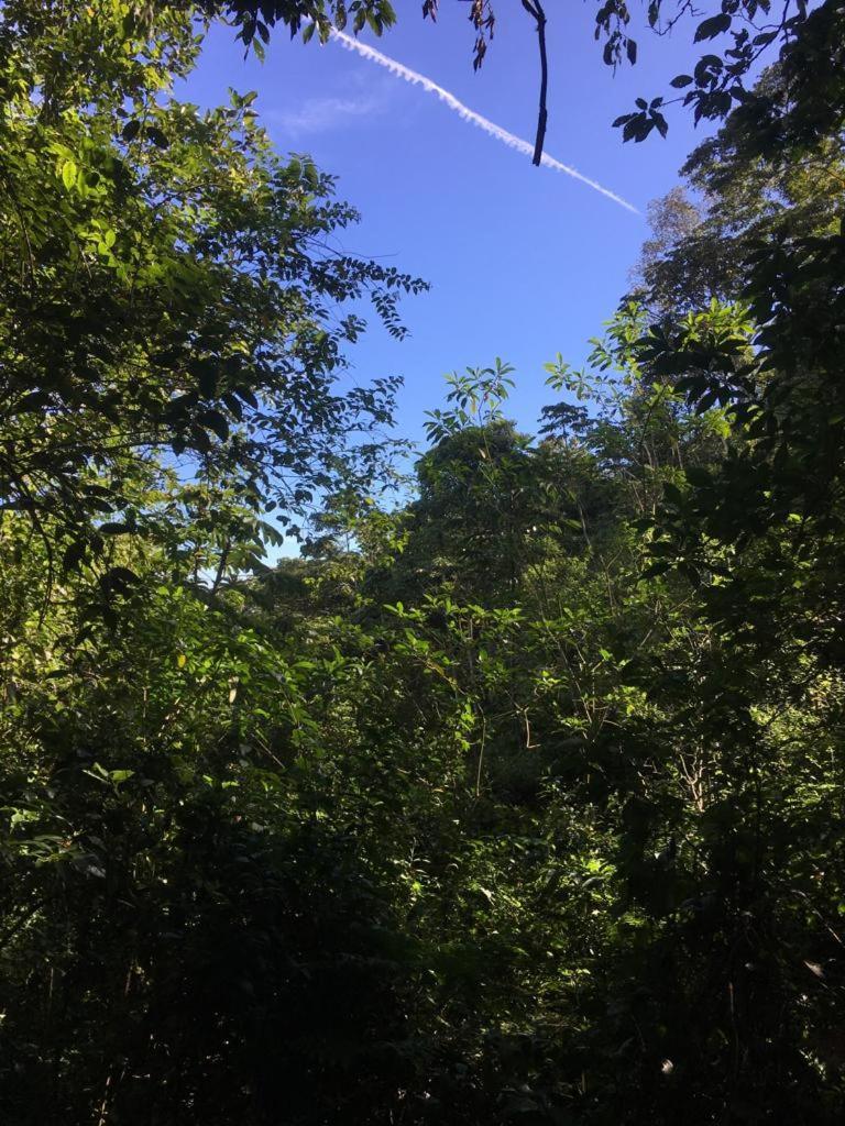 Green Mountain And Lodge 图里亚尔瓦 外观 照片