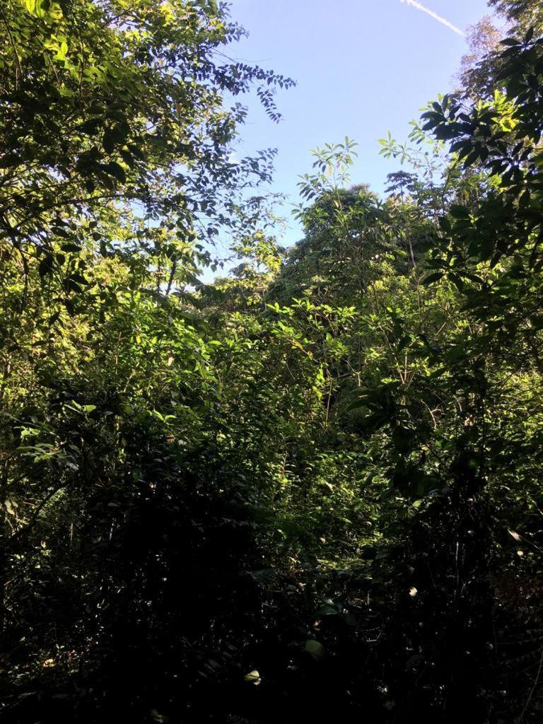 Green Mountain And Lodge 图里亚尔瓦 外观 照片