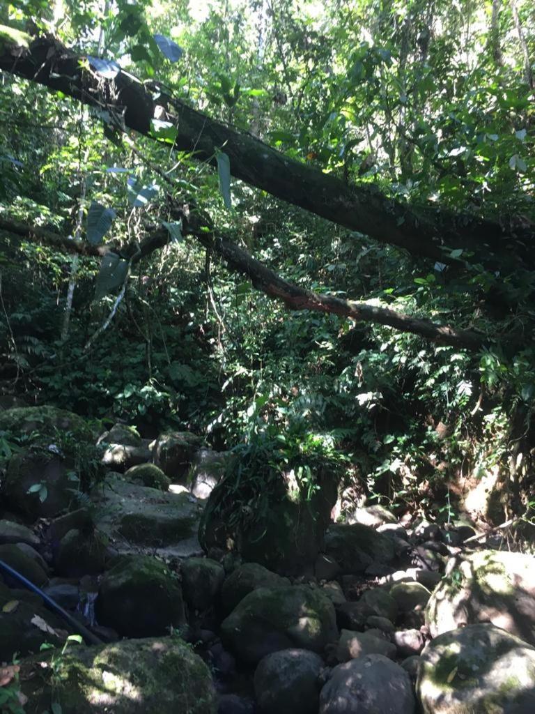 Green Mountain And Lodge 图里亚尔瓦 外观 照片