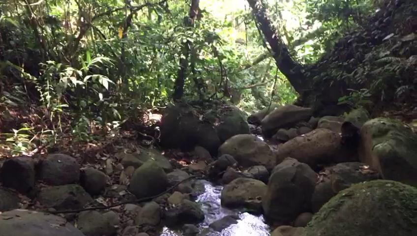 Green Mountain And Lodge 图里亚尔瓦 外观 照片